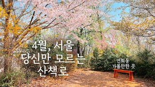4월, 서울에서 가장 호젓한 봄 산책 연희동 가볼만한곳 궁동공원 6년만에 다시 찾은 궁동의 봄