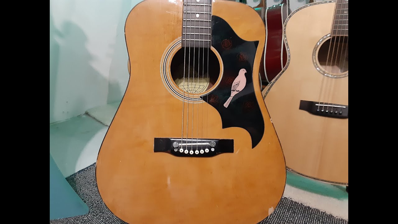 70's Global Guitar. Can I make it playable??