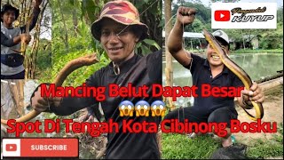 Mancing Belut Spot Di Tengah Kota Cibinong-Bogor Bosku.