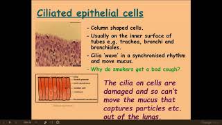 2.1.6 Cell division h) Specialised cells