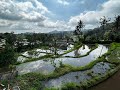 Bali 2, through the rice fields on a bike