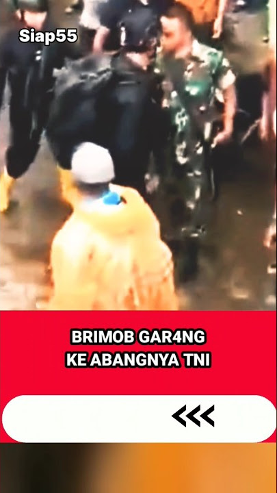 OKNUM BRIMOB SENGGOL TNI #tni #shortvideo #viral #brimob #shorts #kopassus #siap55