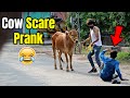 Funny Cow S-C-A-R-E Prank (Eid-ul-Adha 2021 Special)- LahoriFied