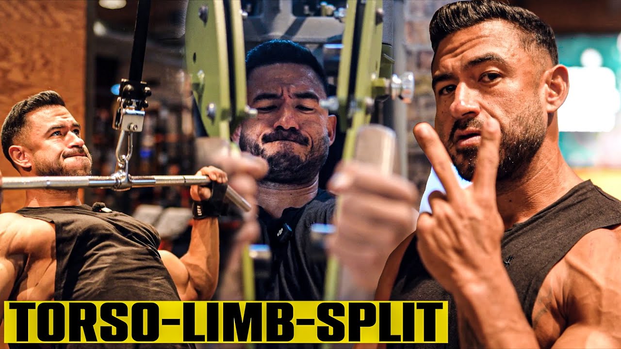 Ist der Torso-Limb-Split seinen Hype wert?