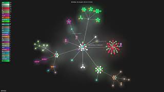 jqlang/jq - Gource visualisation Wealth