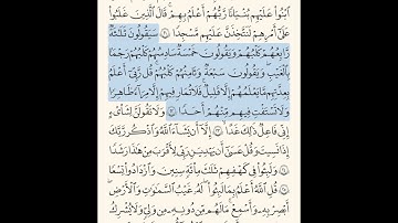سورة الكهف || الحاج عامر الكاظمي ||surah al kahef