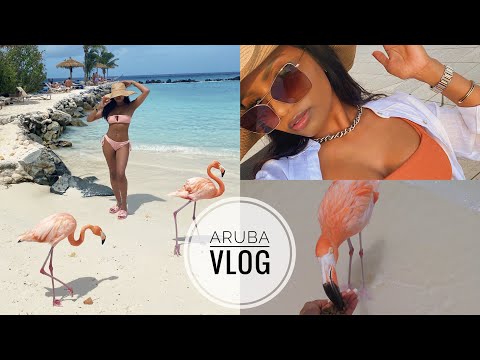 VLOG: ARUBA| RENAISSANCE ARUBA RESORT, FLAMINGO ISLAND, EFOREA SPA, ETC.