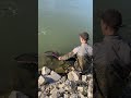 Zander auf Gummifisch Teil 4