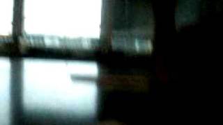 AVI 1823