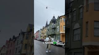 Finlerle Türkler Akraba Mı?