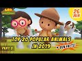 Top 20 Popular Animals in 2019! (Part 3/5) - South African Cheetah and more animal stories!