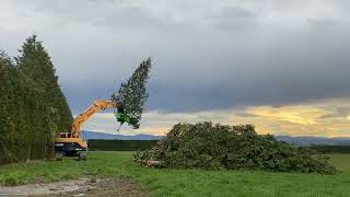 OMEF BI500 Tree Shear #treework #hedgetrimming