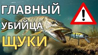 Главный убийца щуки! Самый уловистый воблер осени раскрыт 🎣🔥
