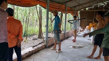 Quá Khủng Nó To Hơn Bắp Tay Người Lớn | Mười Thương SB_ Tập 91