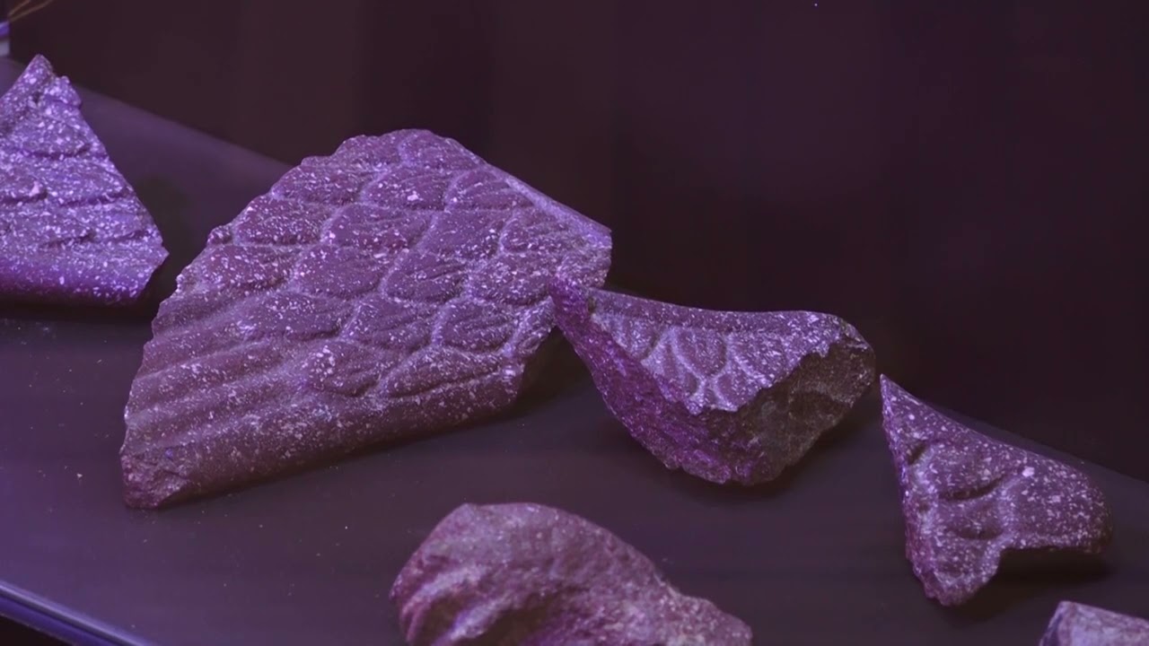 Znaci moga mesta - Muzej Zaječar