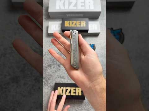 STUNNING NEW KNIFE from Kizer with crazy Damascus Inlay! ???? The Kizer Quoll!