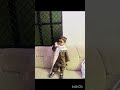 Boys Kurta Set – Stylish Ethnic Wear for Kids | Festive &amp; Wedding Collection #kurta #shorta