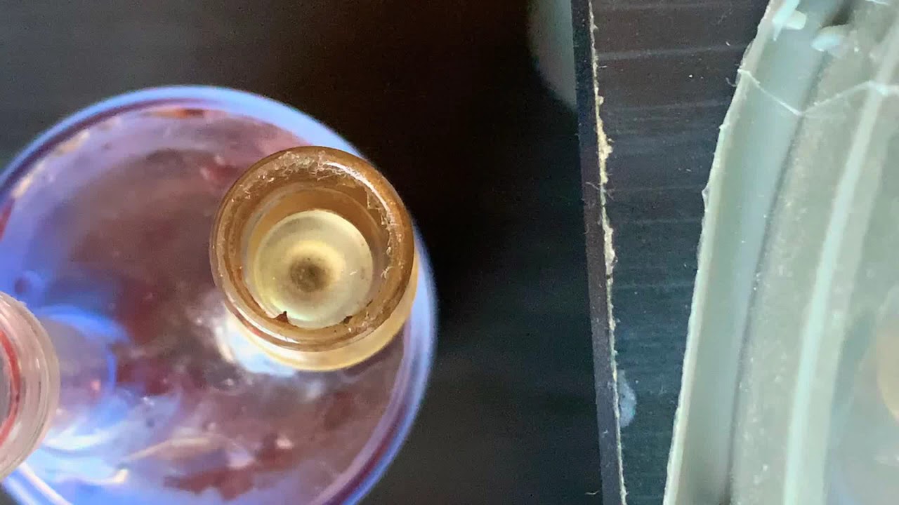 DailyDabz W/ Token420