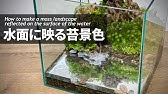 天空の城ラピュタの苔テラリウム 作り方 Make A Moss Terrarium For Castle In The Sky 45 Youtube 天空の城ラピュタの苔テラリウム 作り方 Make A Moss Terrarium For Castle In The Sky 45 Youtube