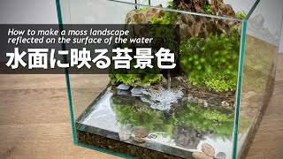 【Moss Terrarium】How to make a moss landscape reflected on the surface of the water