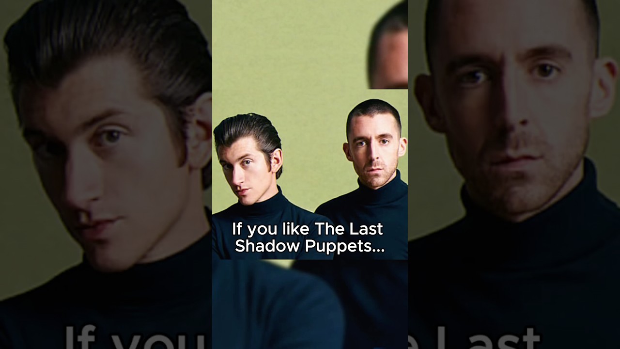 For fans of The Last Shadow Puppets! 