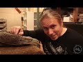 World's Longest Snakes! EP. 424 : SnakeBytesTV : AnimalBytesTV