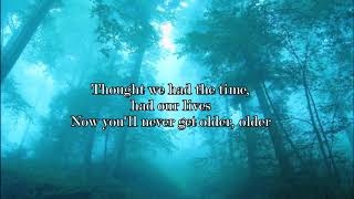 Michael Schulte - You Said You'd Grow Old With Me (lyrics)