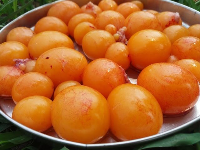 What Will Happen - Boil Unlaid Chicken Eggs in Water - Food Money Food