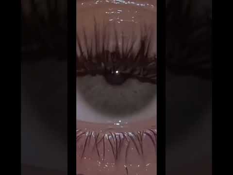 Transition Video ASMR 😍 #asmr #eyemakeup #asmrsounds #asmrvideos #viralvideos #fyp #foryoupage
