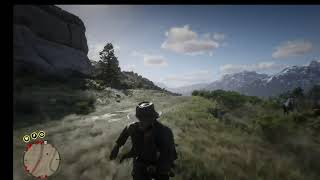 Red Dead Redemption 2 The Flash