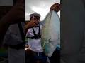 Trolling pakai Minnow 6gram. Sakana Lure
