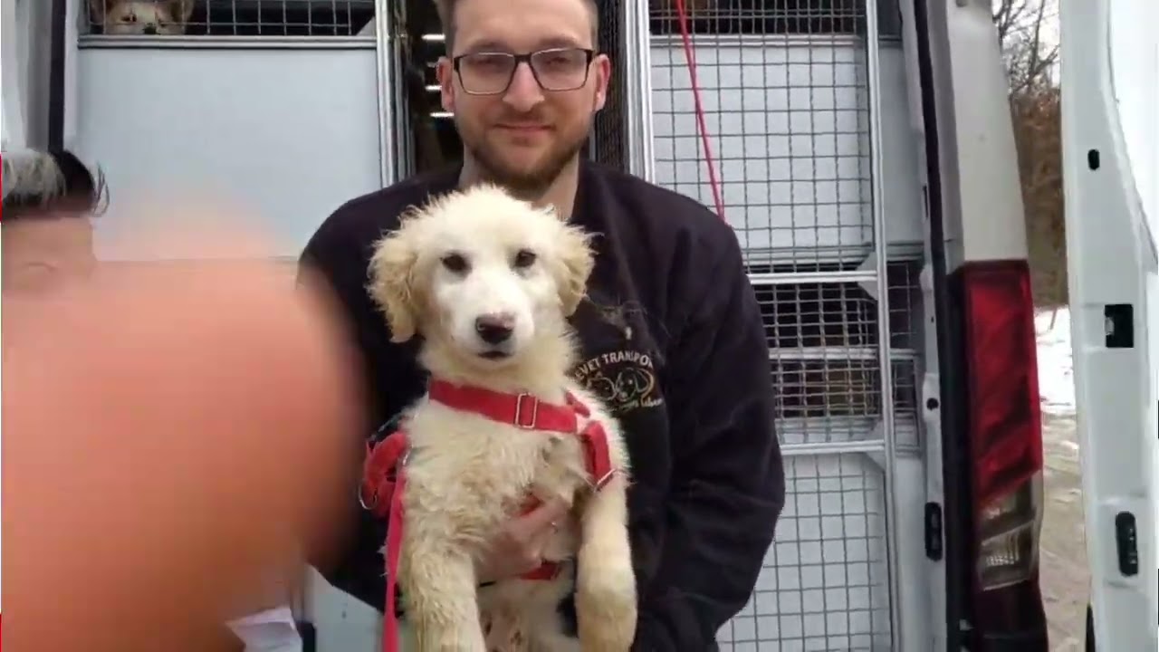 Happy End im Februar 2026 ❤️