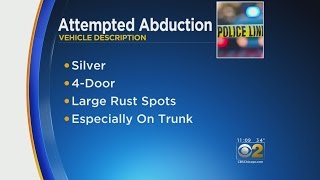 Police Search For Man Who Attempted To Abduct 15-Year-Old Girl In Lockport