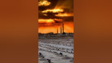 تلاوة خاشعة للقارئ هيثم الجدعاني رحمة الله تعالى سورة القصص كاملة