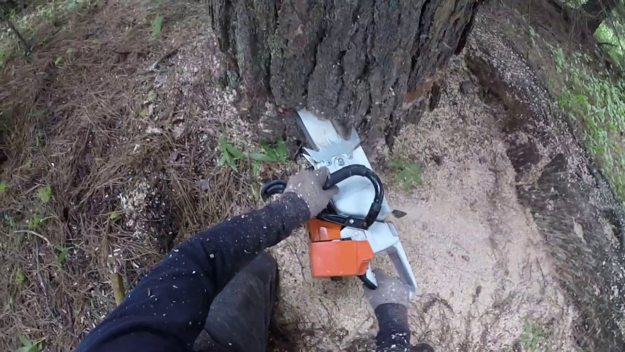 Stihl ms461 Insane-O-ized SS