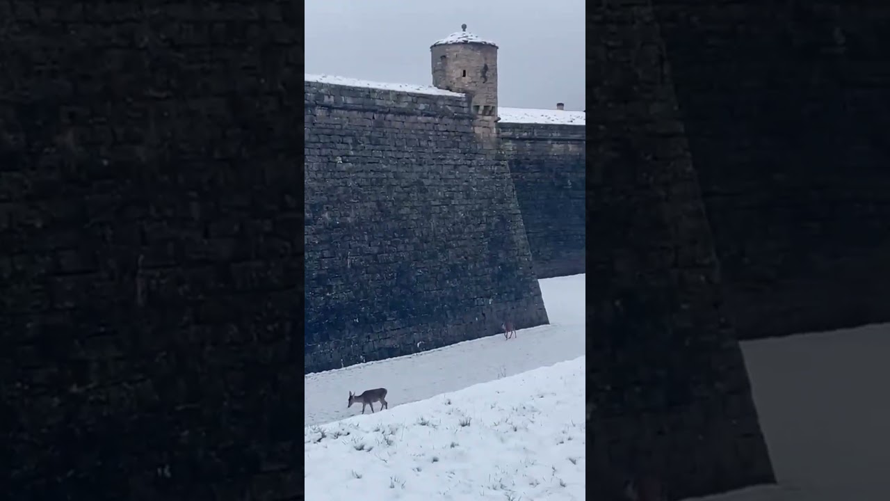 🏰Ciudadela de Jaca nevada: uno de los pueblos más bonitos del Pirineo ❄️