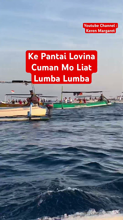 CANTIKNYA LIHAT LUMBA LUMBA DI PANTAI LOVINA