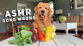ASMR Taste Test Gone Wrong - Tucker Taste Test 10