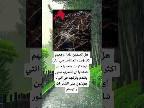 هل تعلمون ماذا اوجعهم اكثر اكسبلور الله لايك 100 اقنباسات معلومات ترند