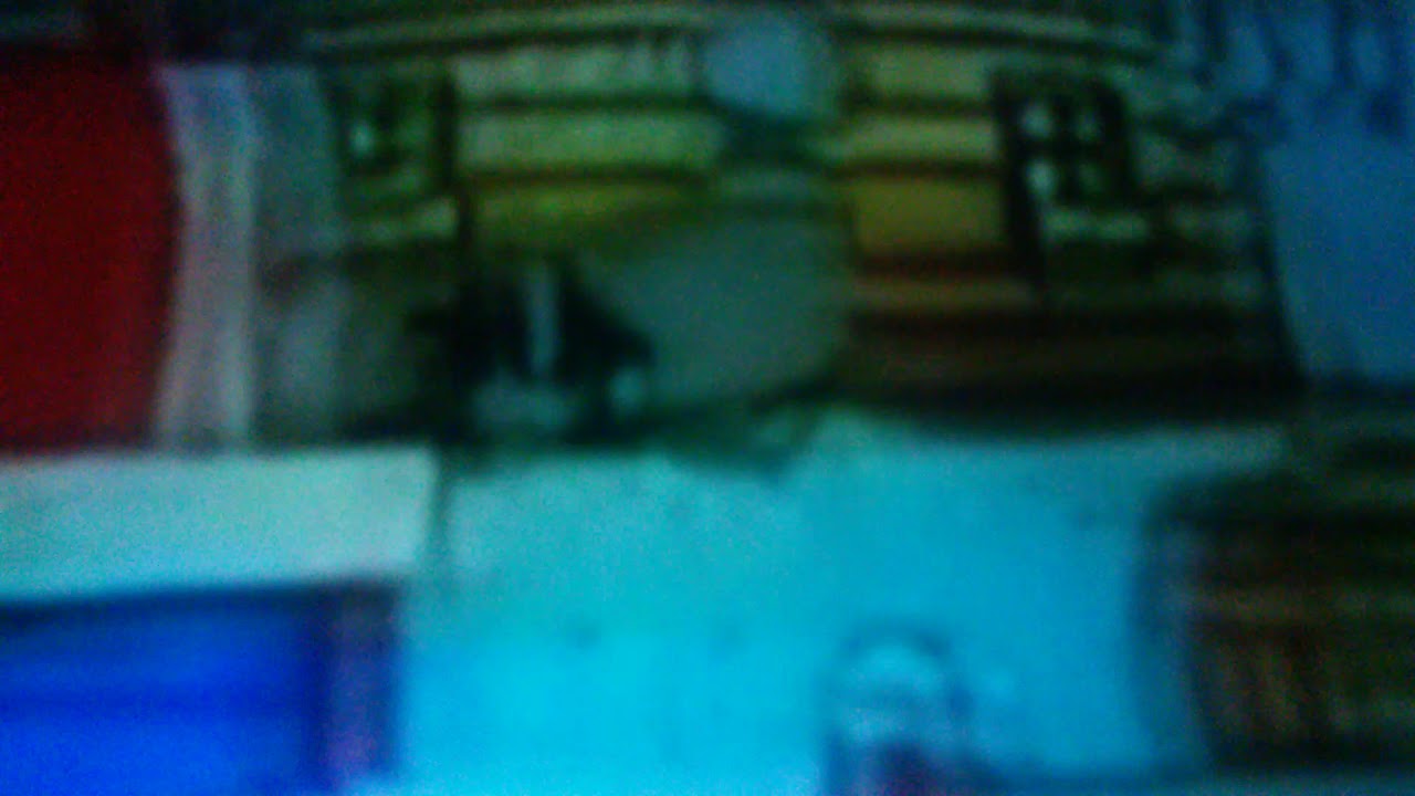 PB&J Otter Intro (PAL) - YouTube