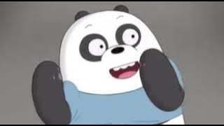 Karin panda