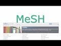 What is mesh