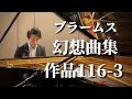 Brahms: Fantasien  Op.116-3 "Capriccio" in G Minor  / 権田晃朗   Gonda Teruaki