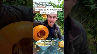 How to use Halloween pumpkin seeds #gardening #gardening tips g