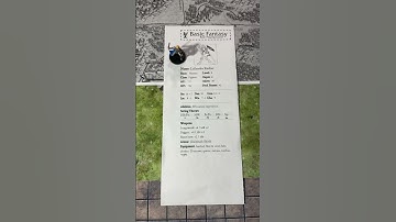 Basic Fantasy RPG: Solo Session: Character Profile 1. #basicfantasyrpg