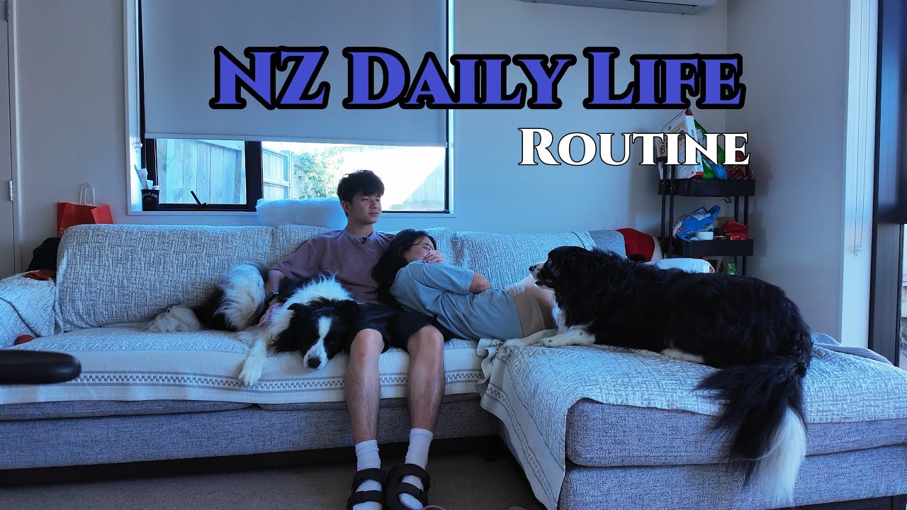 Day off with my wife and dogs in NZ | cleaning, cooking and cozy refresh day