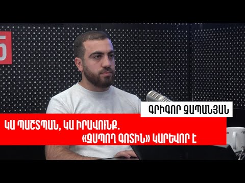 Video: Ի՞նչ է անում Elastic ընկերությունը: