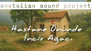 Hastane Önünde İncir Ağacı - Rock Cover Resimi
