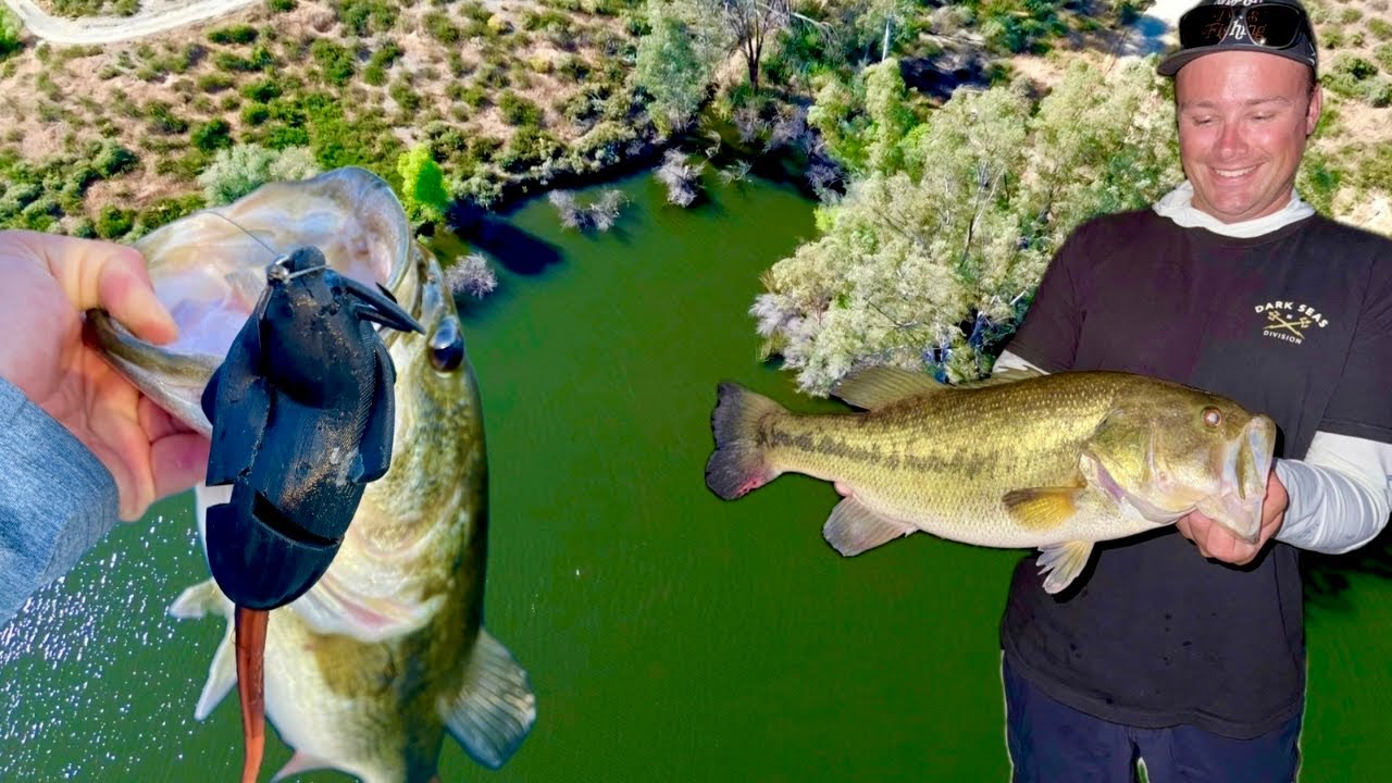 Nonstop Bass Fishing… Then THIS Happened 🐍