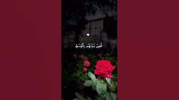 ما تيسر من القرآن الكريم #اكسبلور #المصحف #الرحمن